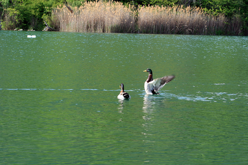 Laghi....del LAZIO
